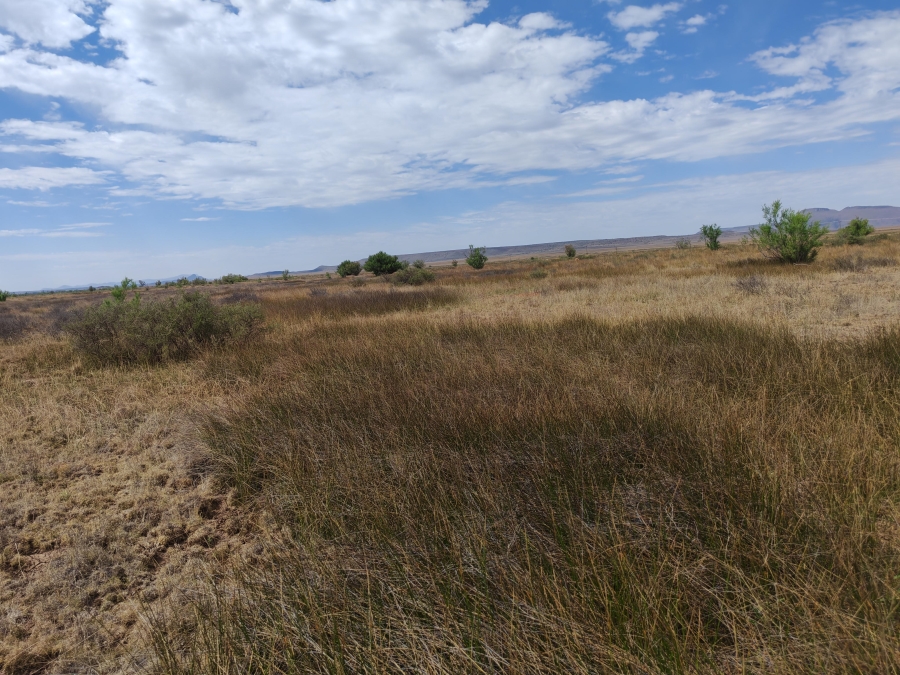 4 Bedroom Property for Sale in Steynsburg Eastern Cape